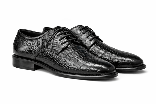 Enzo Oxford shoes
